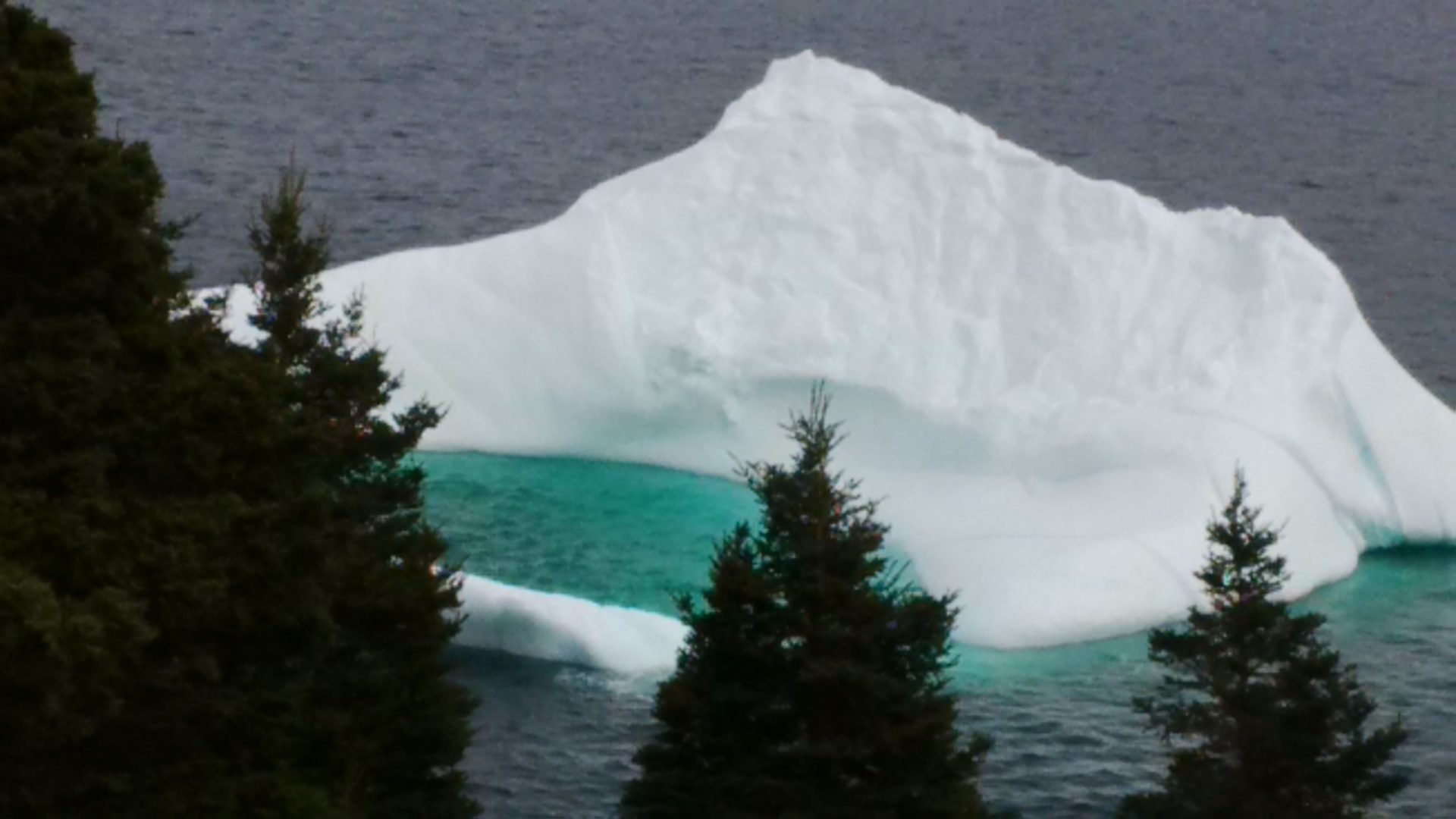 How to make water hot The Modern Spirit